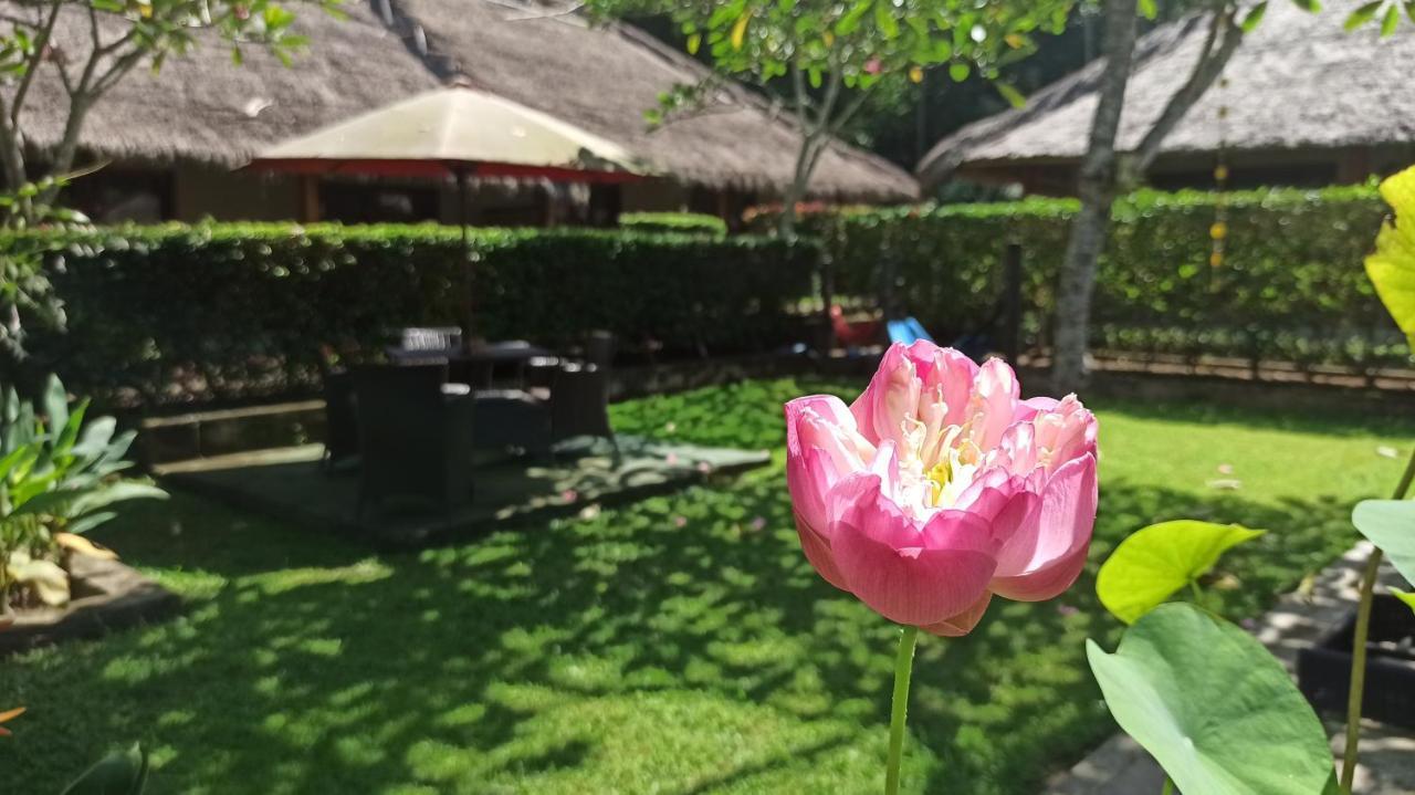 Mama Bella'S Retreat Bed and Breakfast Senggigi Exteriör bild